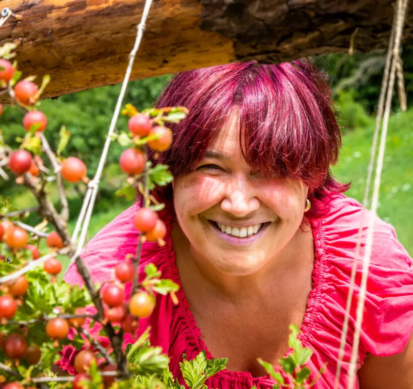 Urlaub am Bauernhof in Forstau, Ferienwohnungen Urlaub am Bauernhof in Forstau, Ferienwohnungen